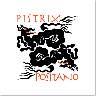 Positano Pistrix Posters and Art